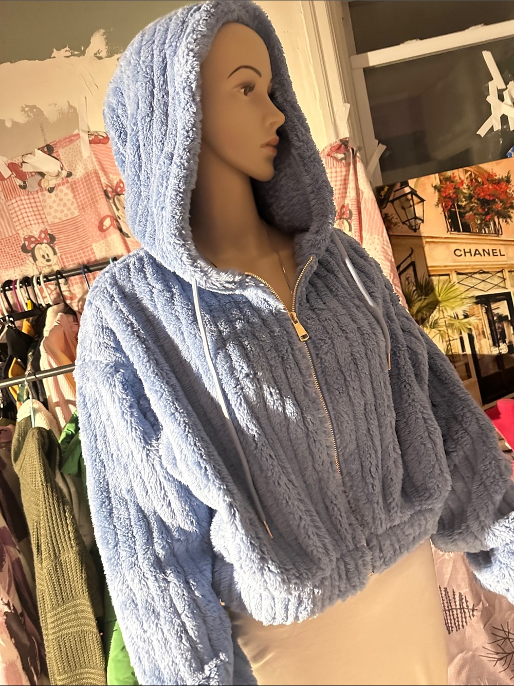 Plush Hooded Zip-Up Jacket - Light Blue
